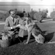 Image for article titled Strange Historic Photos Of Intelligent Animals